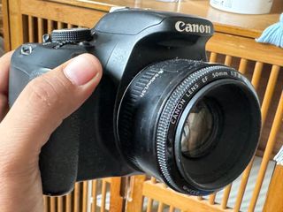 (Category: ) located in . Submitted by travellingcamera (Listing ID 1314653777, Image 1). Description: .
