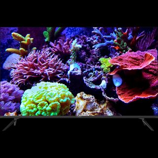 (Category: ) located in . Submitted by pfc.appliances_trading (Listing ID 1314653575, Image 1). Description: .