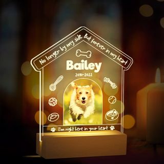 PETS Collection item 1