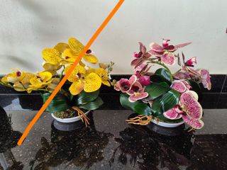 (Category: ) located in . Submitted by regine_0730 (Listing ID 1313172940, Image 1). Description: .