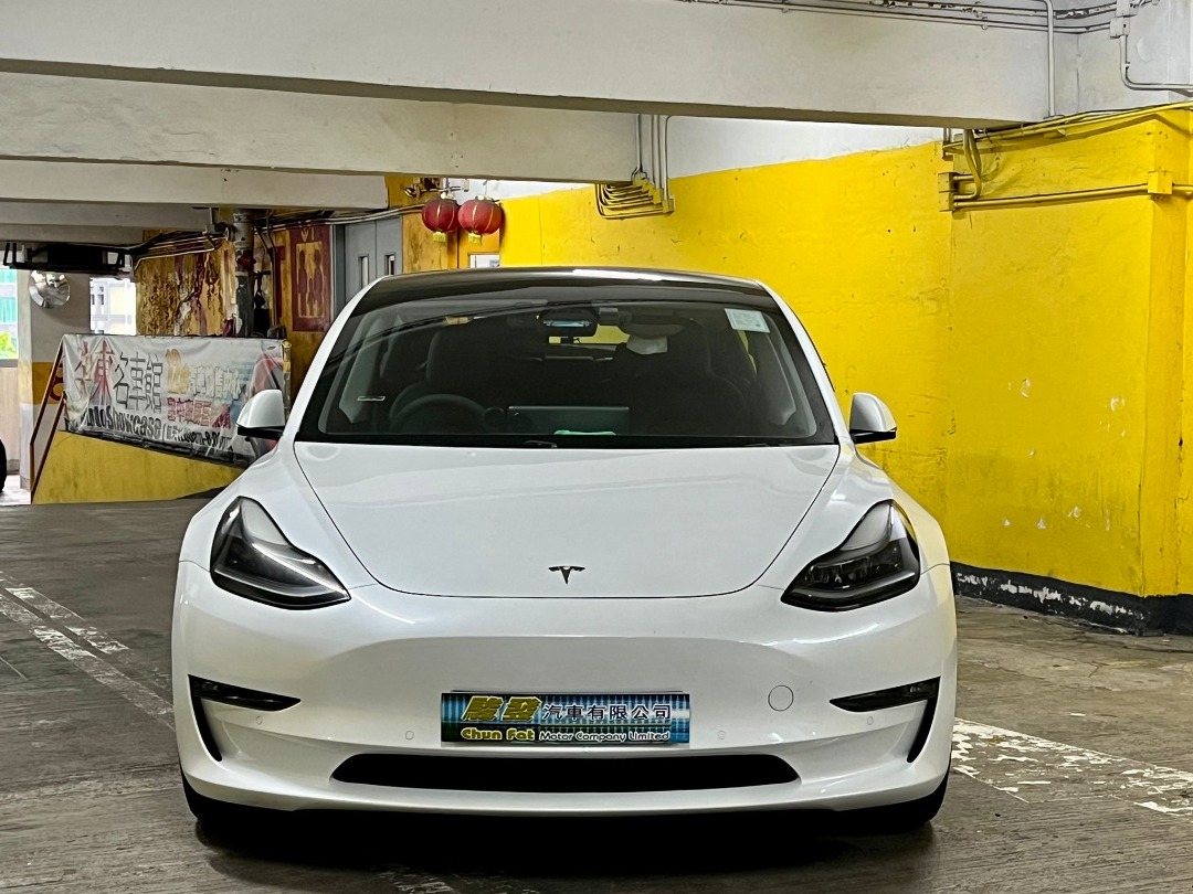 TESLA MODEL 3 LR62863128613379111
