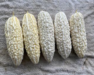 （分類：）位於 。 由 abbalifefarm 提交（商品編號 1314865814，圖片 1）。簡介： 。