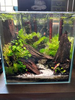 (Category: ) located in . Submitted by frey12 (Listing ID 1314935752, Image 1). Description: .