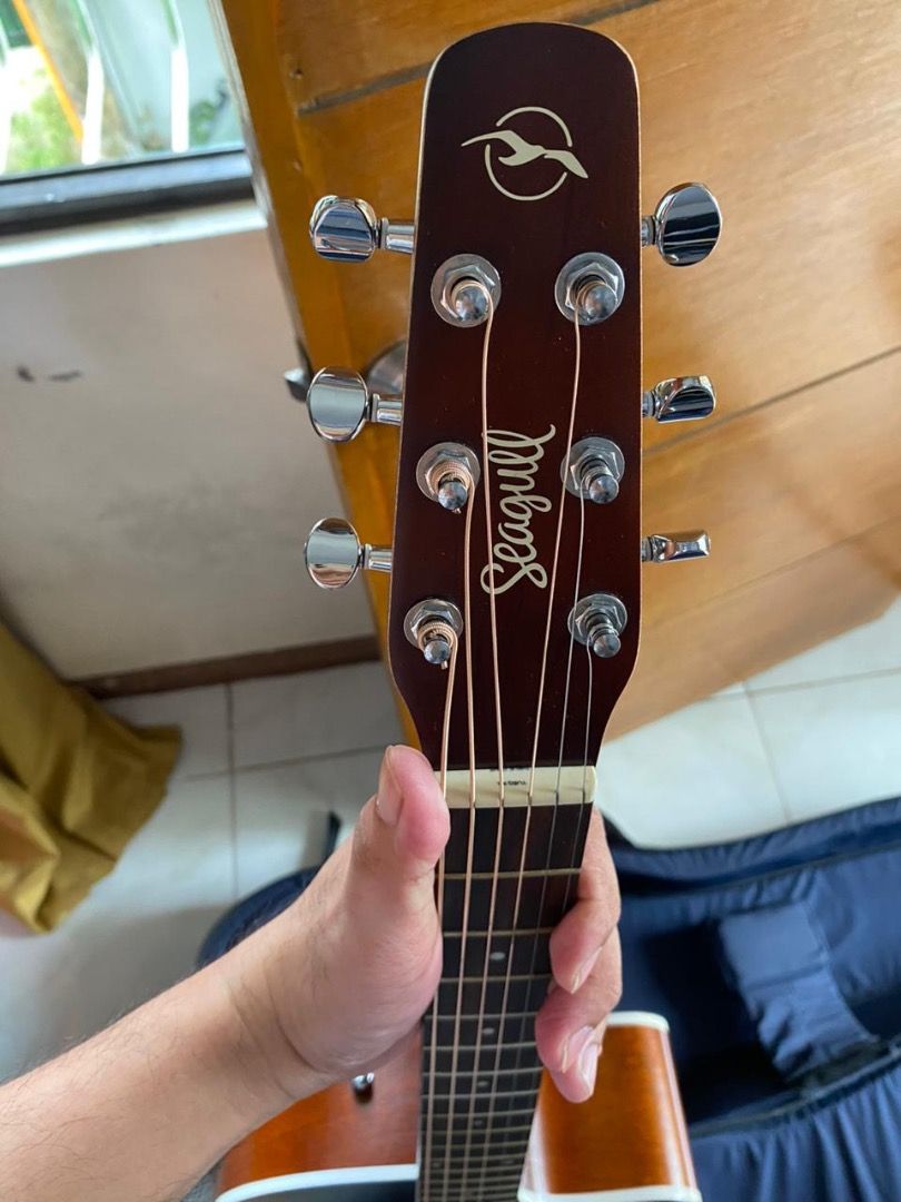 Seagull Entourage Autumn burst CW QIT ( Taylor / Martin / Takamine ...