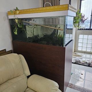 (Category: ) located in . Submitted by fishdogcat (Listing ID 1315066792, Image 1). Description: .