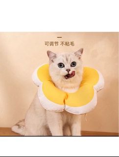 （分類：）位於 。 由 sizzling. 提交（商品編號 1315046500，圖片 1）。簡介： 。