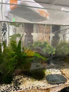 (Category: ) located in . Submitted by benbuibui (Listing ID 1315035543, Image 1). Description: .