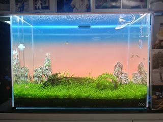 （分類：）位於 。 由 jf2323 提交（商品編號 1314985269，圖片 1）。簡介： 。