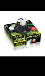 (Category: ) located in . Submitted by jeffreyplants (Listing ID 1315001917, Image 1). Description: .