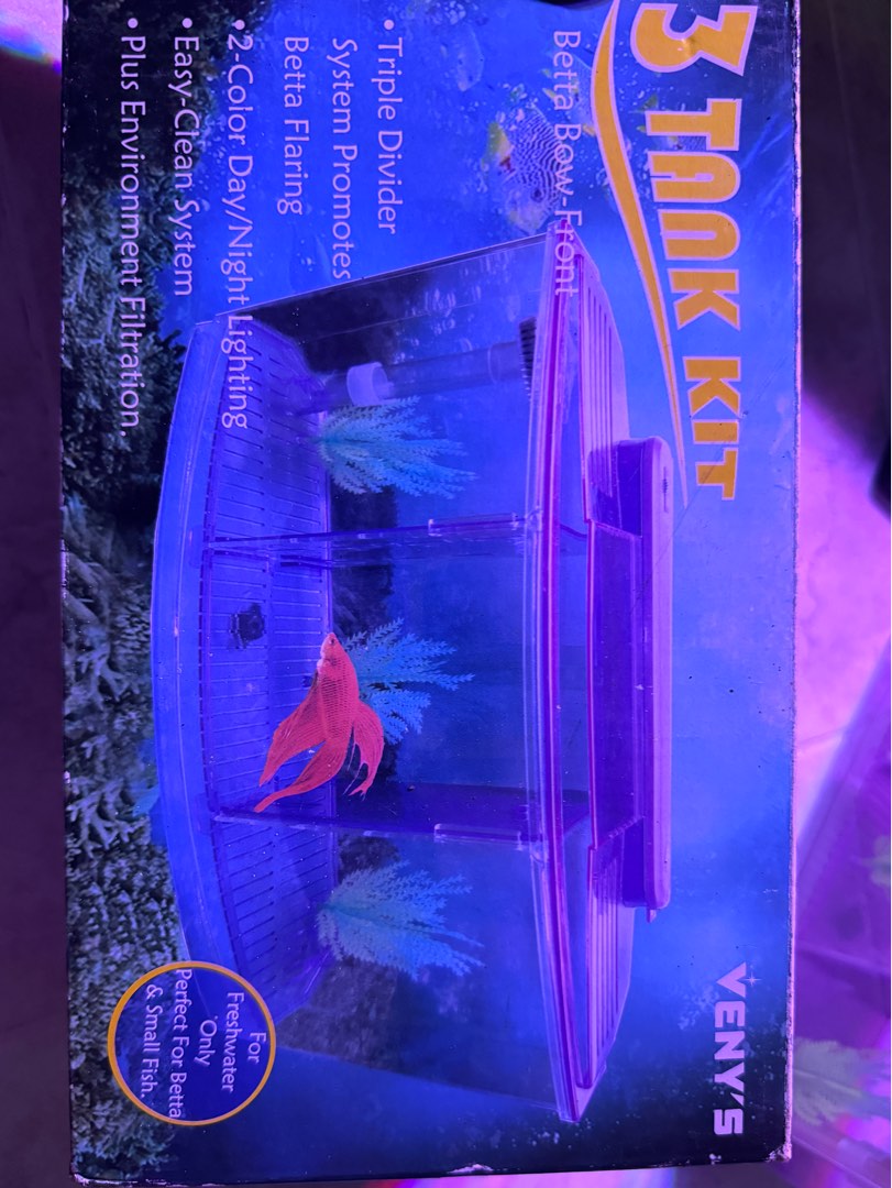 Beta fish kit cheap