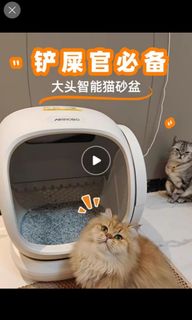 （分類：）位於 。 由 pandaburger 提交（商品編號 1315133678，圖片 1）。簡介： 。