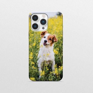 (Category: ) located in . Submitted by sstelecom (Listing ID 1315200868, Image 1). Description: .