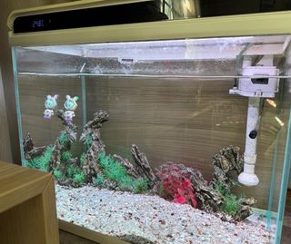 (Category: ) located in . Submitted by hymm712 (Listing ID 1315138536, Image 1). Description: .
