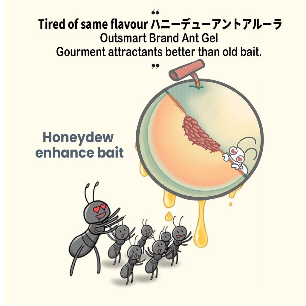 SG FREE 🚚] Antslayer ® Ant Killer - Liquid Ant Bait 30ml Pest Control Ant  Gel l Non Toxic Eco friendly Ants 螞蟻藥, Health & Nutrition, Insect Repellent  on Carousell