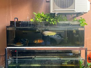 (Category: ) located in . Submitted by docian (Listing ID 1311923595, Image 1). Description: .