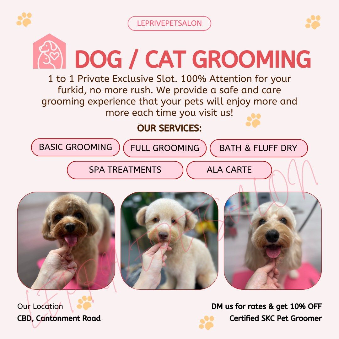 Puppy Pooch Dog Spa Pet Grooming City Pooch Dog Grooming Services