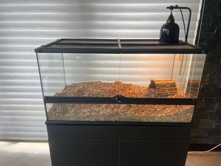 (Category: ) located in . Submitted by luke1223456 (Listing ID 1311966342, Image 1). Description: .