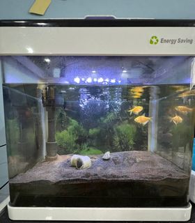 (Category: ) located in . Submitted by charicetan (Listing ID 1312091717, Image 1). Description: .