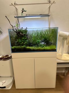 (Category: ) located in . Submitted by budgetkong (Listing ID 1312089002, Image 1). Description: .