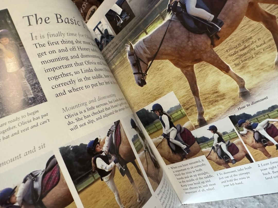 HARDCOVER DK Riding School Dorling Kindersley Horse Horses Pony Hobby ...