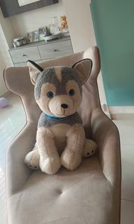 (Category: ) located in . Submitted by alan96090282179 (Listing ID 1311955558, Image 1). Description: .