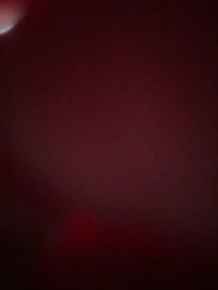 (Category: ) located in . Submitted by orix_672 (Listing ID 1311990219, Image 1). Description: .