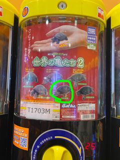 （分類：）位於 。 由 h2o34202 提交（商品編號 1315420250，圖片 1）。簡介： 。