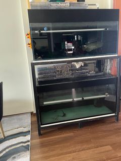 (Category: ) located in . Submitted by rylaryia (Listing ID 1315386471, Image 1). Description: .