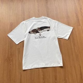 全新L.L.Bean  聯名BEAMS 限定綠標 獵犬印花灰色短袖 男裝 m 碼 tee 64237984513539110