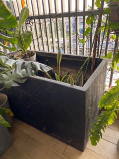 (Category: ) located in . Submitted by bsb1610 (Listing ID 1315411063, Image 1). Description: .