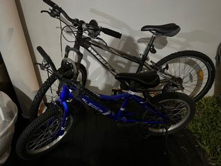 (Category: ) located in . Submitted by gnilia (Listing ID 1315642833, Image 1). Description: .