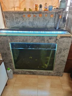 (Category: ) located in . Submitted by kentan76 (Listing ID 1315518726, Image 1). Description: .