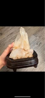（分類：）位於 。 由 mmmimosaaa 提交（商品編號 1315508559，圖片 1）。簡介： 。