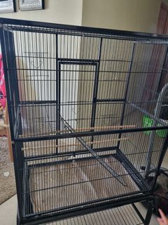 (Category: ) located in . Submitted by iskfellelo86 (Listing ID 1315652754, Image 1). Description: .