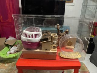 (Category: ) located in . Submitted by jamielene (Listing ID 1315626294, Image 1). Description: .