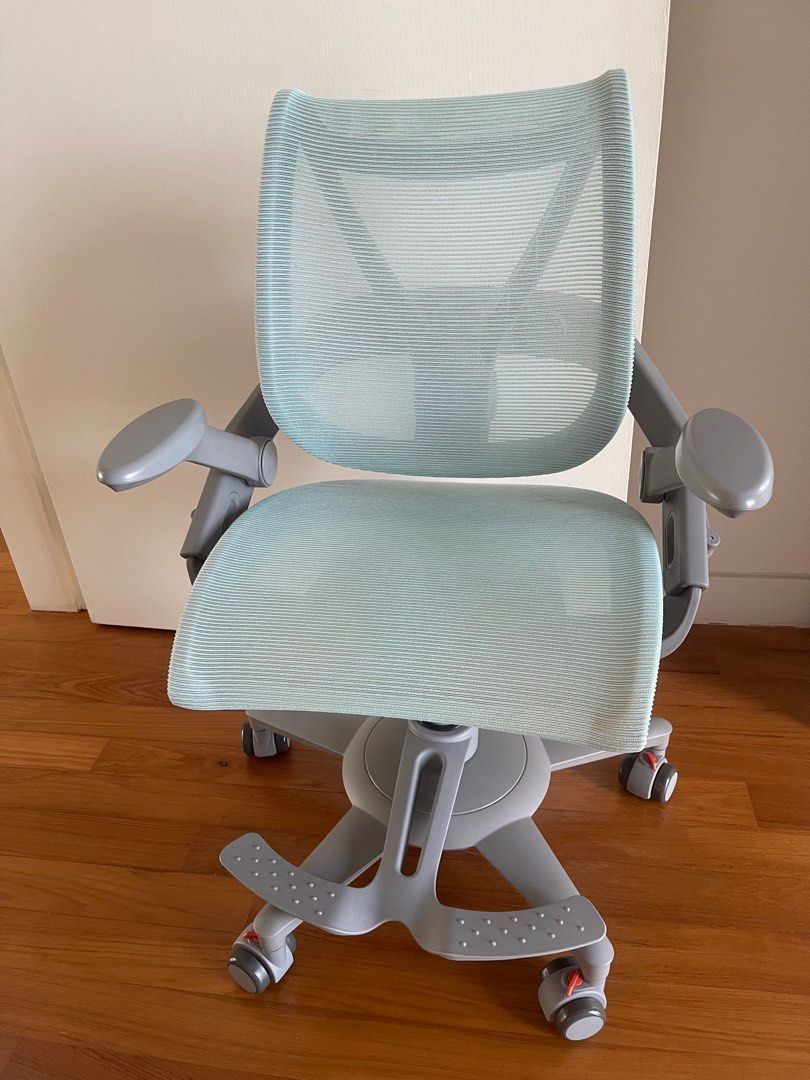 HINOMI Zee V2 Ergonomic Chair, Furniture Home Living, Furniture