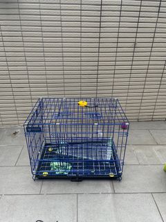 （分類：）位於 。 由 angushung2000 提交（商品編號 1315530951，圖片 1）。簡介： 。