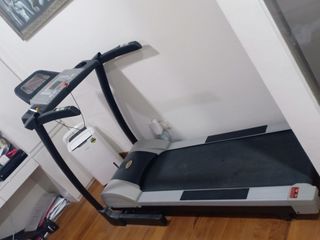(Category: ) located in . Submitted by lebao0131 (Listing ID 1315821321, Image 1). Description: .