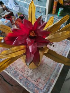 (Category: ) located in . Submitted by idafarisha (Listing ID 1315809501, Image 1). Description: .