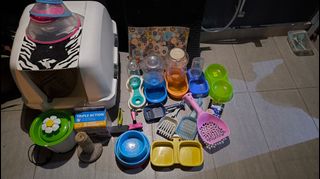 (Category: ) located in . Submitted by BoomerangToysPlace (Listing ID 1300275146, Image 1). Description: .