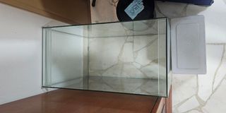 (Category: ) located in . Submitted by focussed (Listing ID 1315818811, Image 1). Description: .