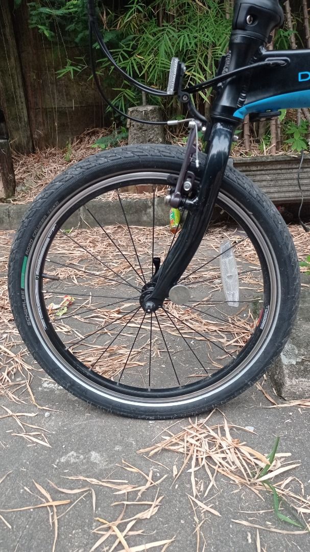 Harga dahon vigor d9 new arrivals