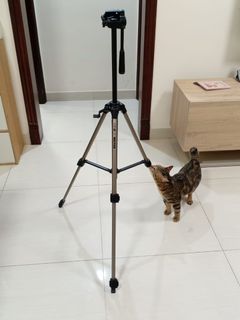 （分類：）位於 。 由 uysls 提交（商品編號 1315772690，圖片 1）。簡介： 。
