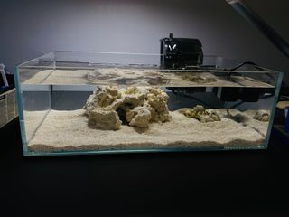 （分類：）位於 。 由 nems4life 提交（商品編號 1315867191，圖片 1）。簡介： 。