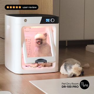 (Category: ) located in . Submitted by petconnexion (Listing ID 1076533618, Image 1). Description: .