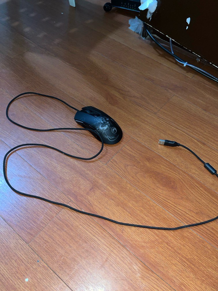 Random mouse lol, Computers & Tech, Parts & Accessories, Mouse ...