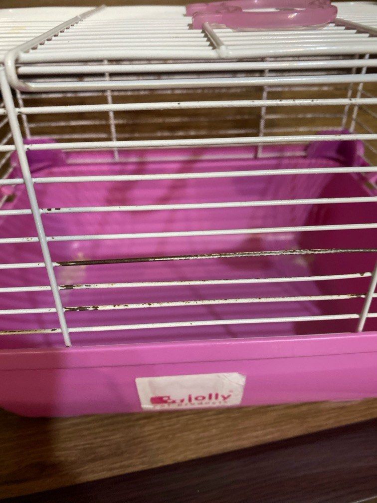 Second Hand Hamster Cage