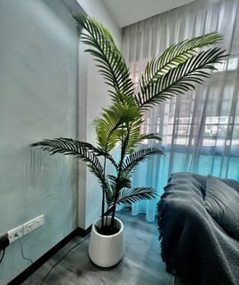 (Category: ) located in . Submitted by skgarden (Listing ID 1315891839, Image 1). Description: .