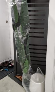 (Category: ) located in . Submitted by skgarden (Listing ID 1315891495, Image 1). Description: .