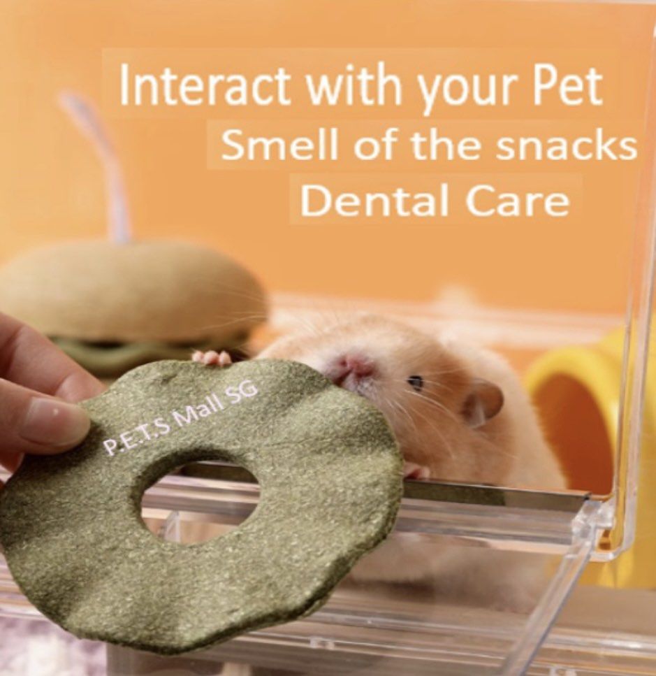 Grinders dental chews cheap